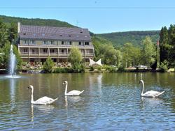 Hotel Les Rives
