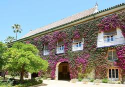 Hotel Simon