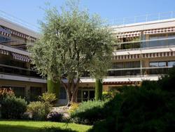 Hotel The Originals Residence Les Strelitzias