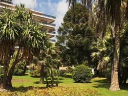 Hotel The Originals Residence Les Strelitzias