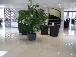 Hotel Restaurant Lunotel