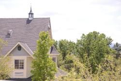 Hounds Tooth Inn