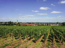 ibis budget Nuits Saint Georges