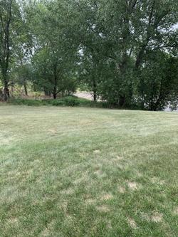 Super 8 by Wyndham Alexandria MN