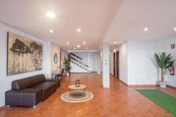 Mirador