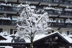 Mont Blanc