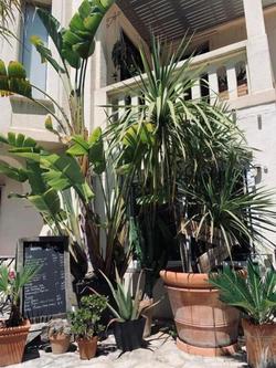 Le Petit Castel