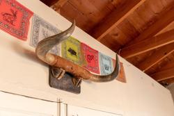 Antelope Lodge Alpine