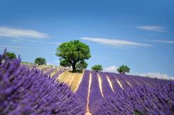 Hotel Bel Alp Manosque