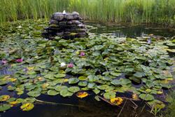 La Tourelle Resort and Spa