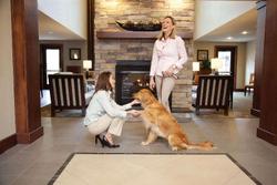 Sonesta ES Suites Dallas - Las Colinas