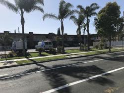 Abby's Anaheimer Inn