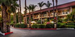 Hotel Pepper Tree Boutique Kitchen Studios