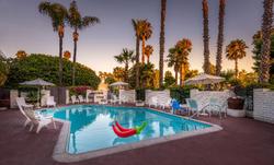 Hotel Pepper Tree Boutique Kitchen Studios