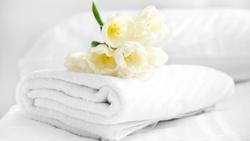 Comfort Inn & Suites Springfield KY