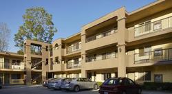 GreenTree Pasadena Inn