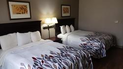Red Roof Inn & Suites Midland