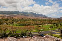 Kaanapali Alii