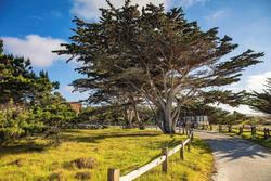 Asilomar