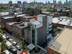Condor Brooklyn