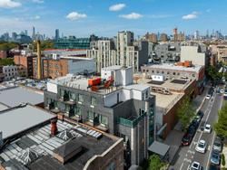 Condor Brooklyn