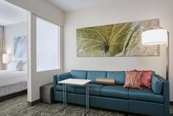 SpringHill Suites Chicago Schaumburg/WoodfieldMall