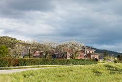 Hotel Rural Suquin