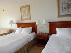 Paradise Plaza Inn
