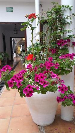 Casa de los Naranjos