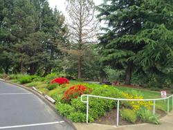 Riverfront Inn Roseburg
