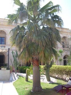Sant Salvador