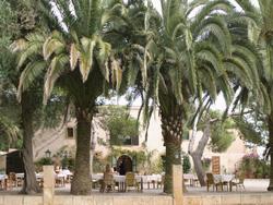 Hotel Rural Predio Son Serra
