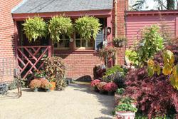 Williamsburg Manor B&B