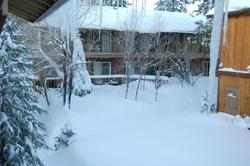 Robinhood Resort
