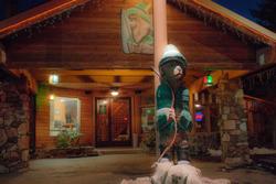 Robinhood Resort