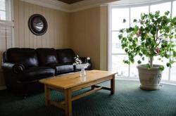 Rockford Alpine Inn and Suites