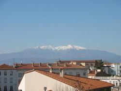 Aragon