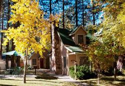 Sleepy Forest Cottages
