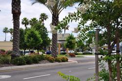 Oxford Suites Redding