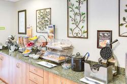 Microtel Inn & Suites By Wyndham Saraland/North M