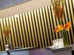 Renaissance St. Louis Airport Hotel