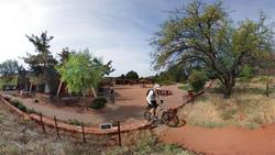 Red Agave Resort