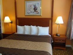 Alpine Inn & Spa