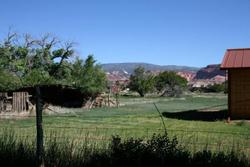 Austin's Chuckwagon Motel