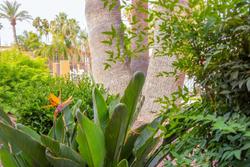Hotel Tucson City Center Ascend Hotel collection