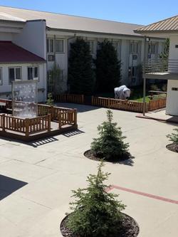 The White Buffalo Hotel