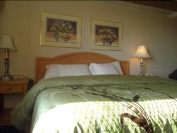 Pleasant Stay Inn & Suites Brooklyn