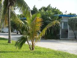 Sea Cove Resort & Marina