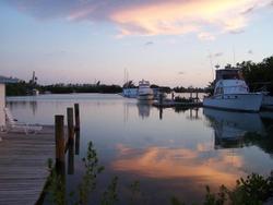 Sea Cove Resort & Marina
