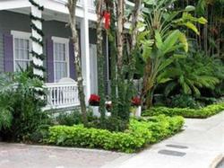 Ambrosia Key West